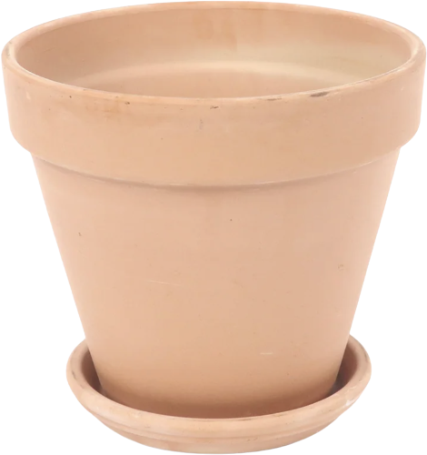 Vaso Standard White